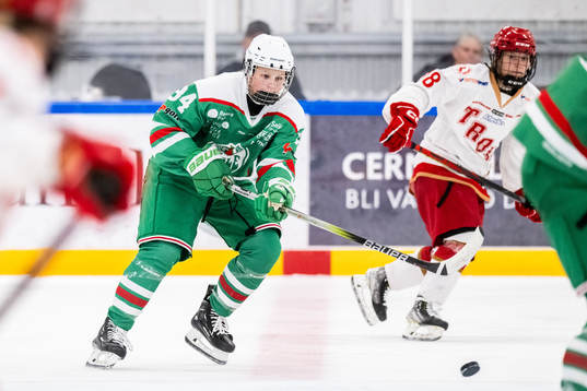 Rögles Mella Liegnell