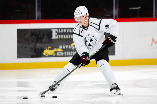 Arizona Coyotes Victor Söderström