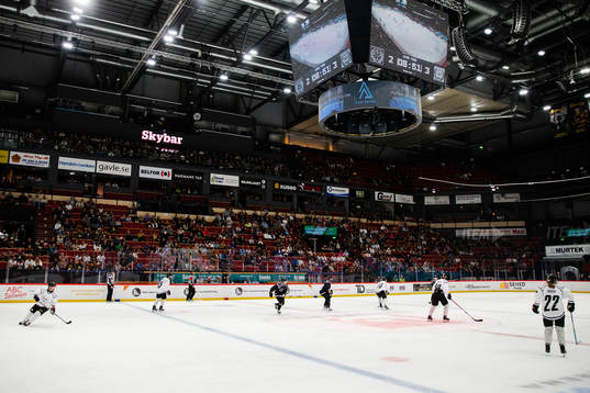 Monitor ERP Arena