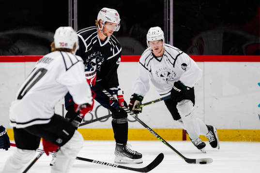 Washington Capitals Niklas Bäckström