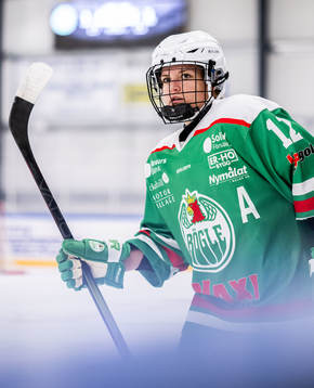 Rögles Saga Tynell Nissas