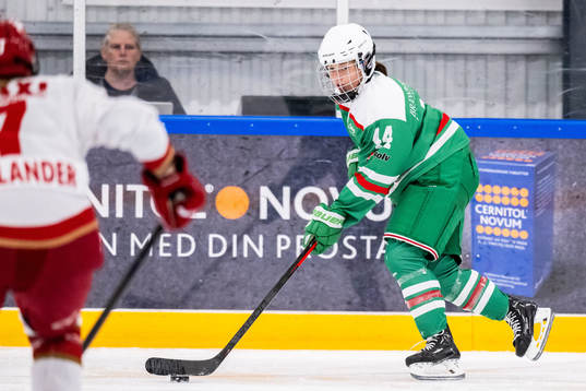 Rögles Arwen Nylander