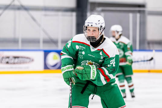 Rögles Mella Liegnell