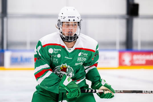 Rögles Arwen Nylander