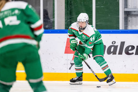 Rögles Arwen Nylander
