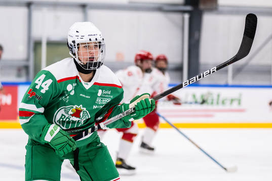 Rögles Arwen Nylander
