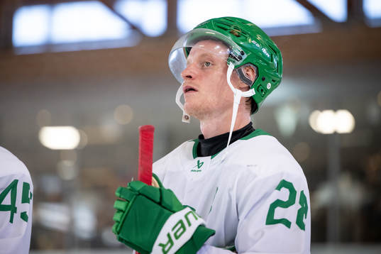 Anton Bengtsson of Rögle