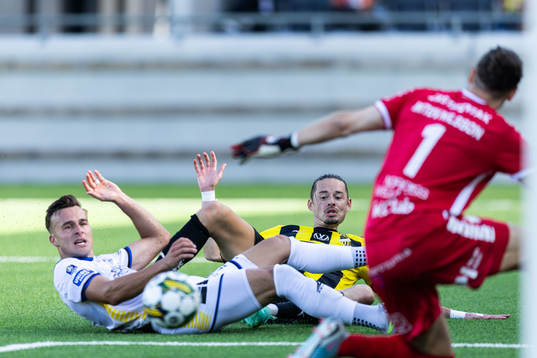 Sirius Henrik Castegren och Häckens Amor Layouni