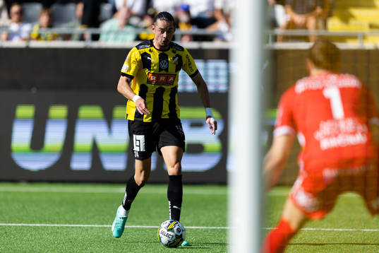 Häckens Amor Layouni