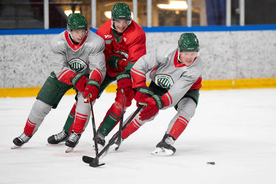 Isac Heens, David Edstrom och Gustav Rydahl