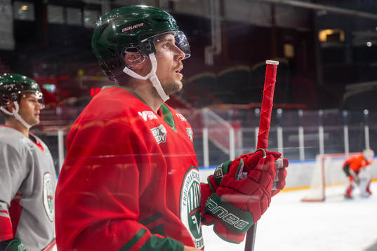 Henrik Tömmernes
