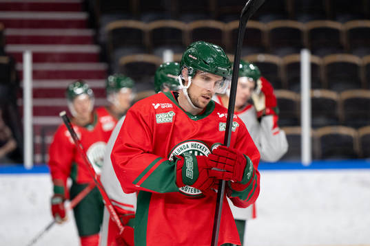 Henrik Tömmernes