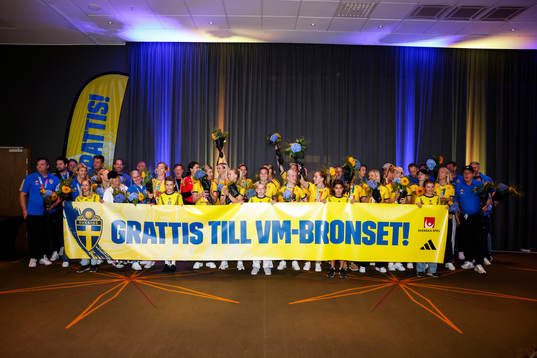 Players of Sweden