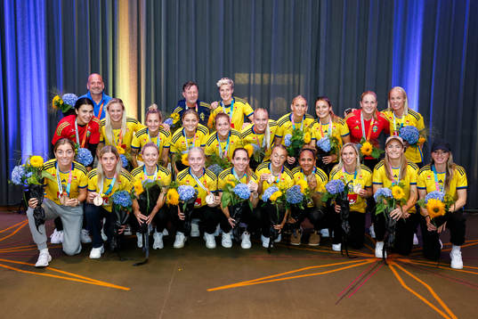 Players of Sweden