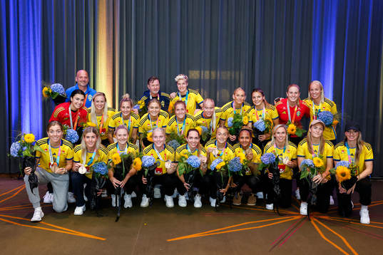 Players of Sweden