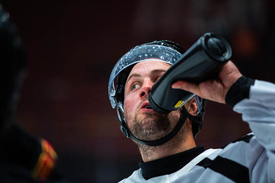 Brynäs Johan Larsson