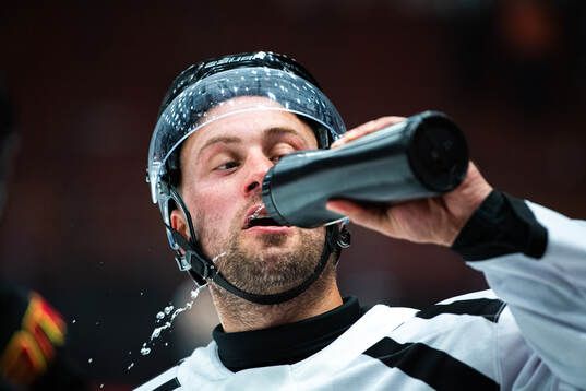 Brynäs Johan Larsson