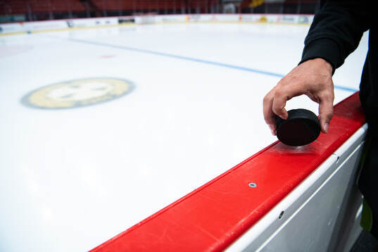 Brynäs Johan Larsson håller i en puck