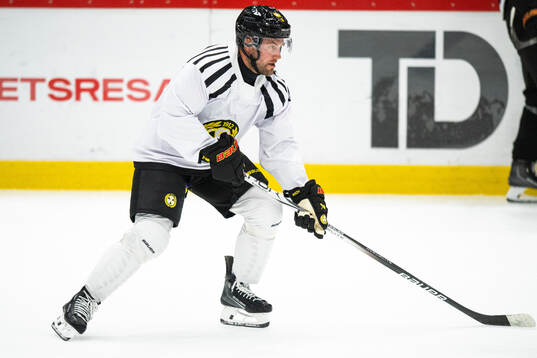 Brynäs Johan Larsson