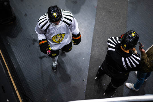 Brynäs Johan Larsson