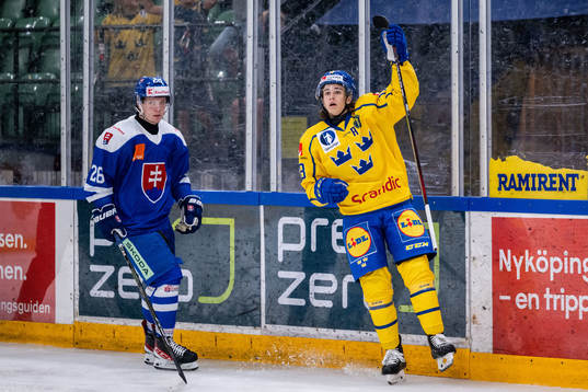 Liam Engström of Sweden celebrates