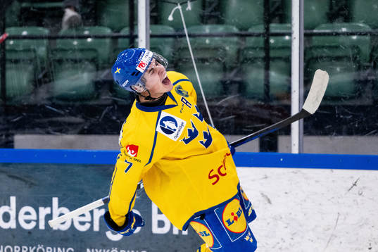 Hugo Fransson of Sweden celebrates