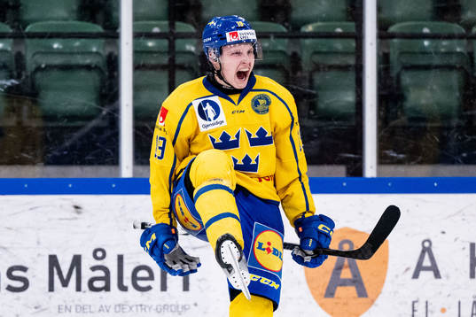 Hugo Pettersson of Sweden celebrates