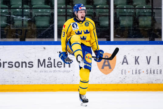 Hugo Pettersson of Sweden celebrates