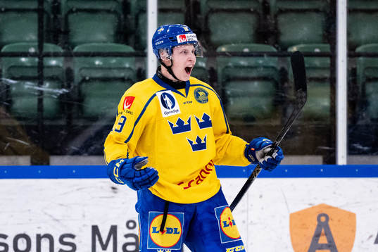 Hugo Pettersson of Sweden celebrates