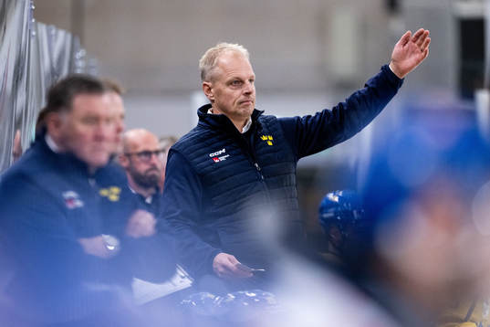 Head coach Magnus Hävelid of Sweden