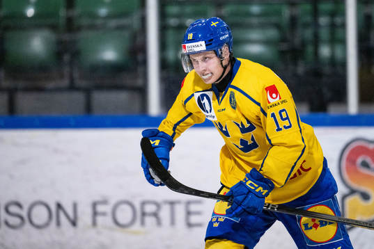 Hugo Pettersson of Sweden celebrates