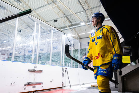 Liam Engström of Sweden