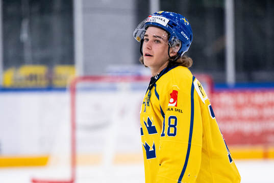 Liam Engström of Sweden