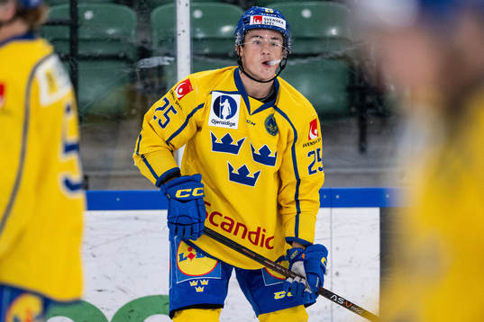 Jacob Sagadin of Sweden