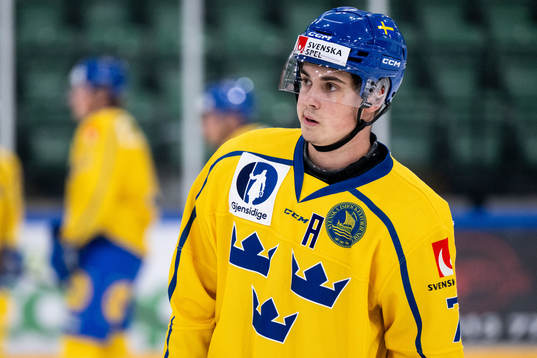 Hugo Fransson of Sweden