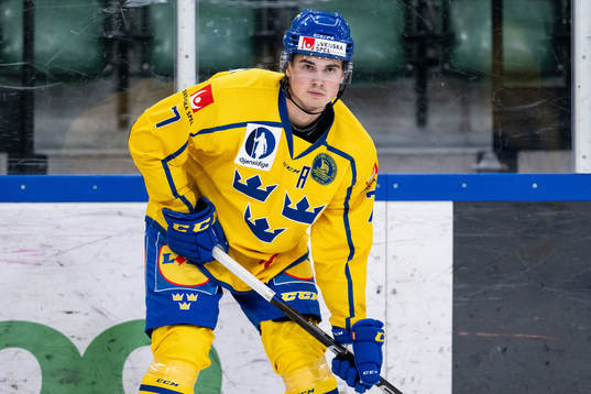 Hugo Fransson of Sweden
