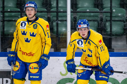 Albert Wikman and Freddie Larsson of Sweden