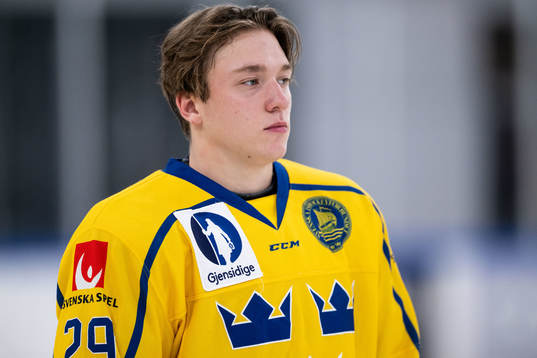 Viktor Smeds of Sweden