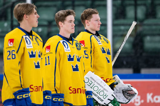 Goaltender Melker Thelin of Sweden
