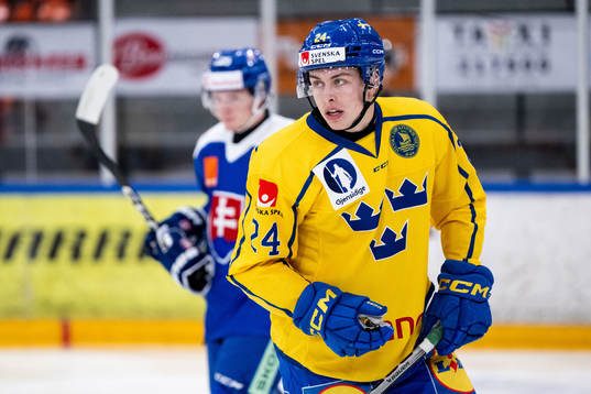 Simon Zether of Sweden