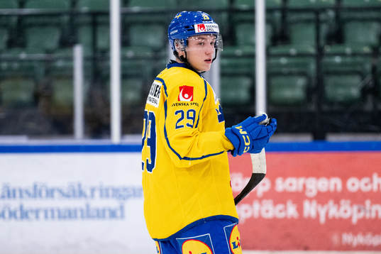 Viktor Smeds of Sweden
