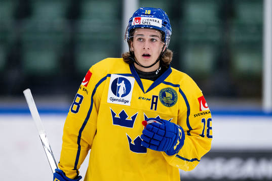 Liam Engström of Sweden