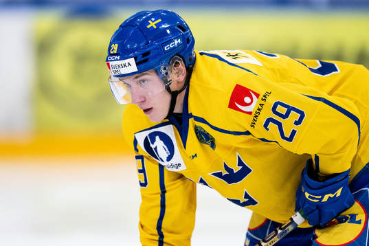 Viktor Smeds of Sweden