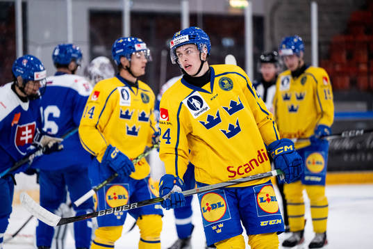 Simon Zether of Sweden