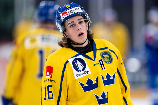 Liam Engström of Sweden looks dejected