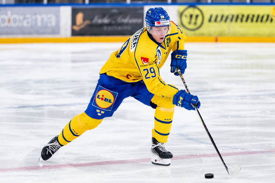 Viktor Smeds of Sweden