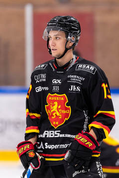 Alvestas Victor Lindman