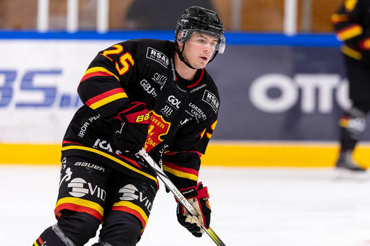 Alvestas Joakim Stjern Svensson