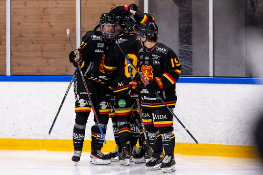 Alvestas spelare jublar