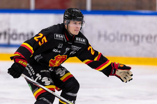 Alvestas Joakim Stjern Svensson